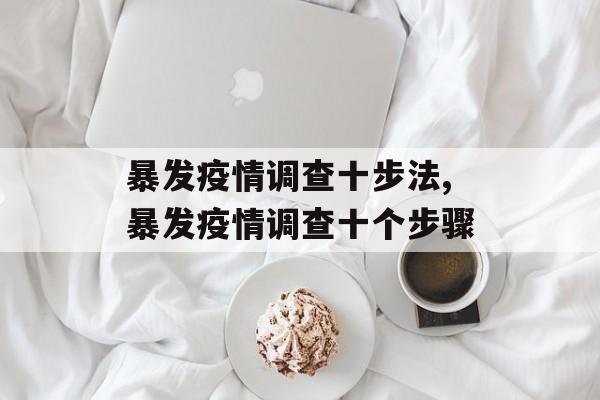 暴发疫情调查十步法,暴发疫情调查十个步骤