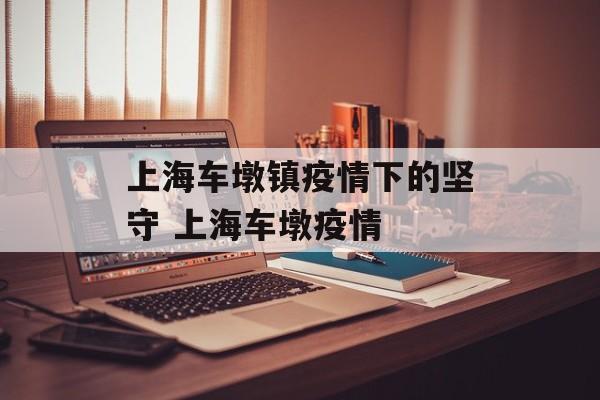 上海车墩镇疫情下的坚守 上海车墩疫情