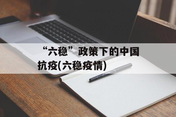 “六稳”政策下的中国抗疫(六稳疫情)