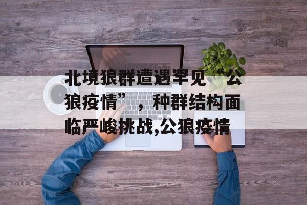 北境狼群遭遇罕见“公狼疫情”，种群结构面临严峻挑战,公狼疫情