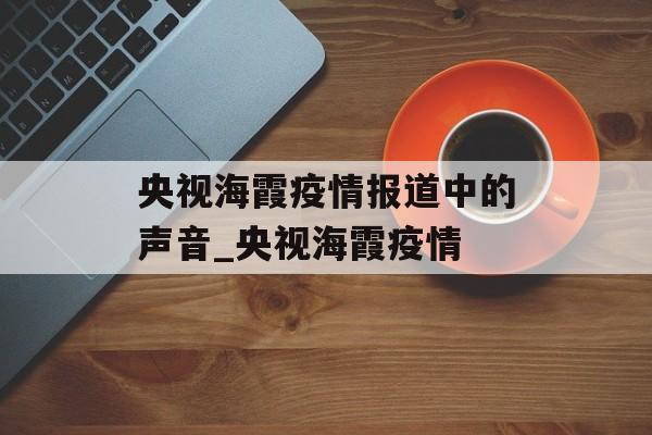 央视海霞疫情报道中的声音_央视海霞疫情