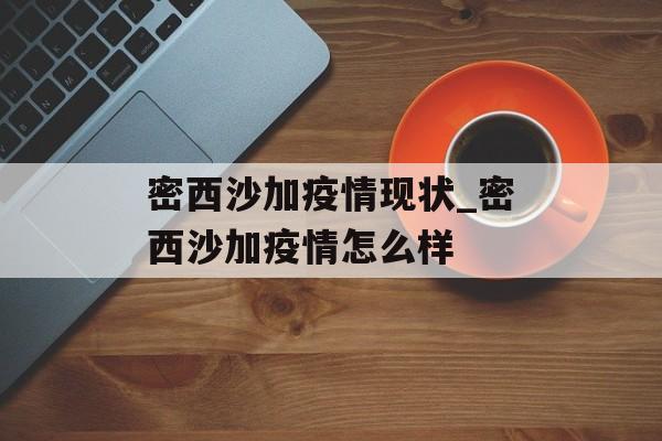 密西沙加疫情现状_密西沙加疫情怎么样