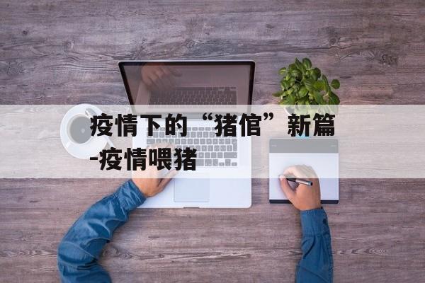 疫情下的“猪倌”新篇-疫情喂猪