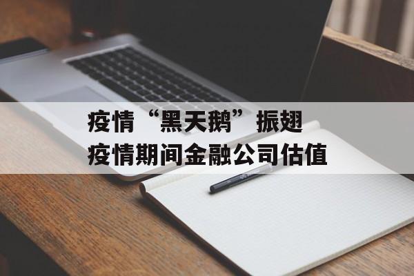 疫情“黑天鹅”振翅 疫情期间金融公司估值