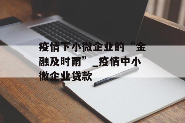 疫情下小微企业的“金融及时雨”_疫情中小微企业贷款