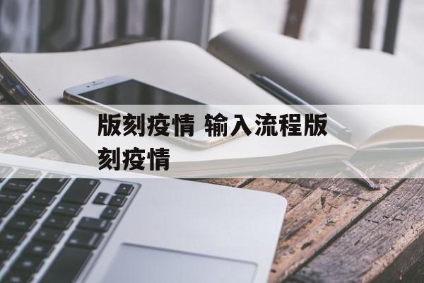 版刻疫情 输入流程版刻疫情