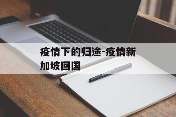 疫情下的归途-疫情新加坡回国