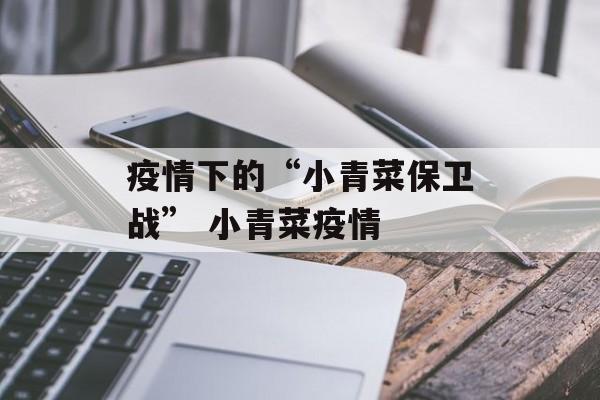 疫情下的“小青菜保卫战” 小青菜疫情